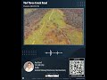 Tbd Three Creek Road, Preston, MO 65732 | Other For Sale