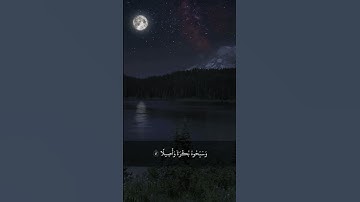 سورة الأحزاب 41 – 43                                                          اكتب شيء تؤجر عليه 🌹