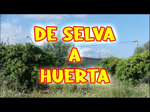 NUEVA HUERTA Cap. 1 | Nuevo proyecto de HUERTO URBANO | Locos por la Huerta