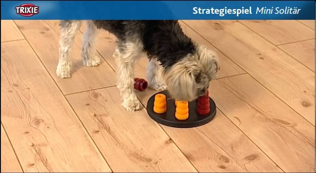 Dog Activity - MINI SOLITAIRE - circle with cones 20 cm - Puzzles