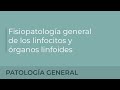 Fisiopatología general de los linfocitos y órganos linfoides.  Luis Alfonso Pérez