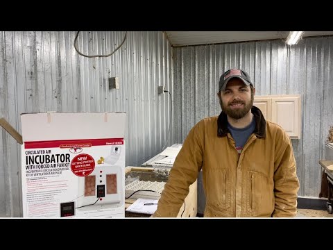 Wideo: Czy inkubator jest tego wart?