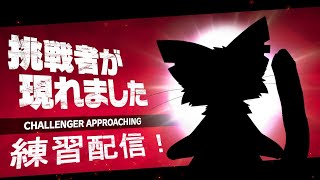 【スマブラ】突発練習配信！【ケモV】
