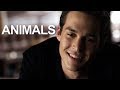 Animals | Kai Parker