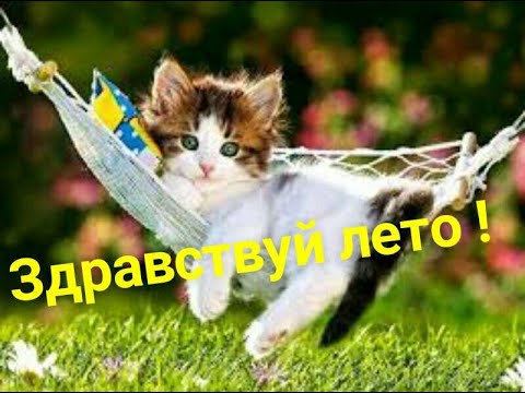 Вот И Лето Пришло...