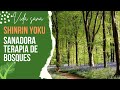 Shinrin Yoku - Sanadora Terapia de bosques