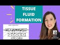 Function and Formation of TISSUE FLUID: A level Biology. How it is formed and reabsorbed