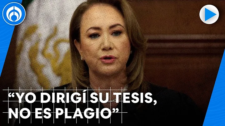 "No hubo plagio": asesora de tesis de la ministra ...