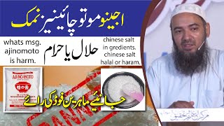 Kia Ajinomoto Msg Salt Chinies Salt Halal He Ya Haram Chinese Salt Halal Or Haram
