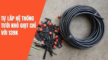 Hướng dẫn cách tự lắp trọn bộ tưới nhỏ giọt giá rẻ tưới gốc cây cảnh vườn rau hoa hồng dưa lưới