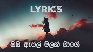 Vignette de la vidéo "ඔබ ඇපල් මලක් වාගේ - Oba Apple malak wage | Amarasiri Peiris | LYRICS"