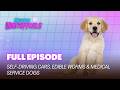 Self-Driving Cars, Edible Worms & Medical Service Dogs | FULL EPISODE | S4