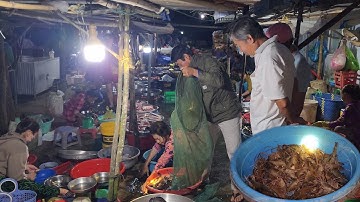 Thật Bất Ngờ Khi Gia Đình Đúng Đậm Cá Trê Hơn 40 Ký | HLDT 914