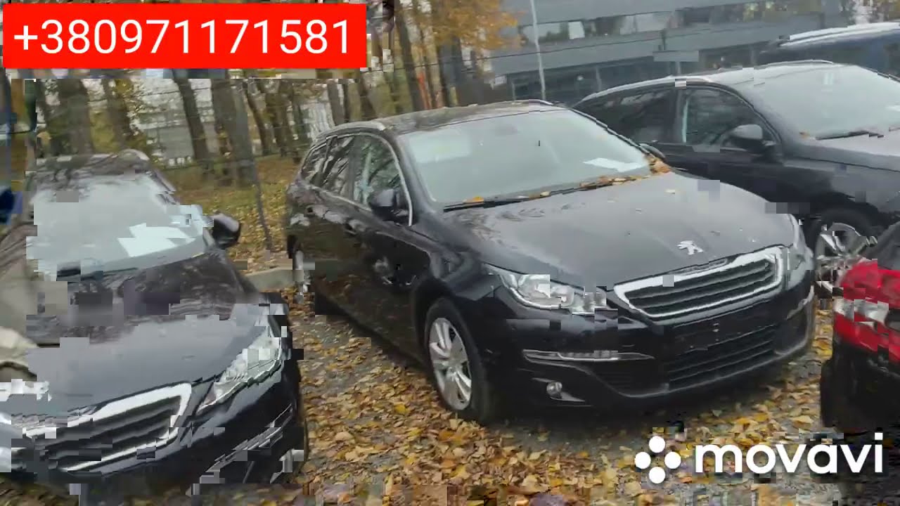 Авто даймонд волжский