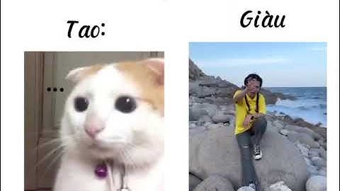 Giàu khi bị chỉ tay  #xhhh#xd#xrp#meme#pets#memes#fyp#Wefake#funny#haihươc
