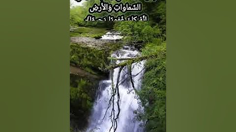 تلاوة من سورة الفرقان للشيخ الفاضل رشاد الضالعي حفظه الله تعالى