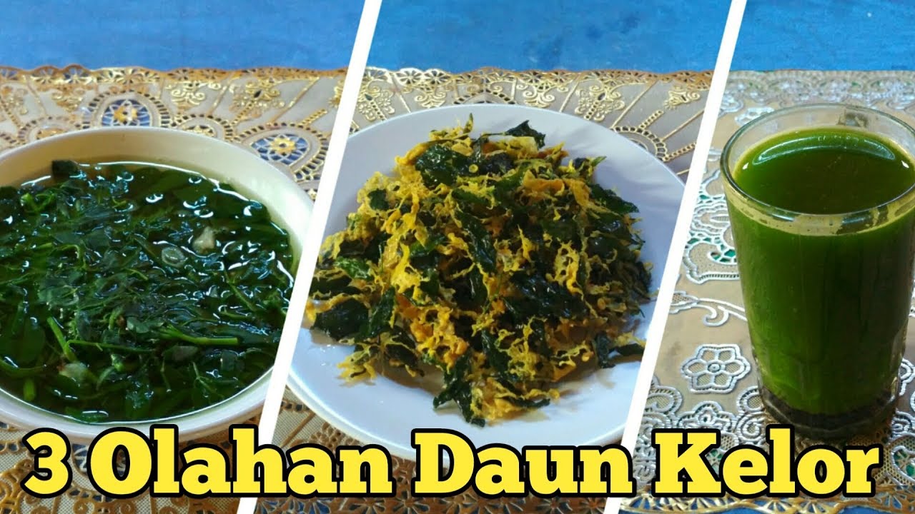 3 ANEKA OLAHAN DAUN KELOR UNTUK KESEHATAN 