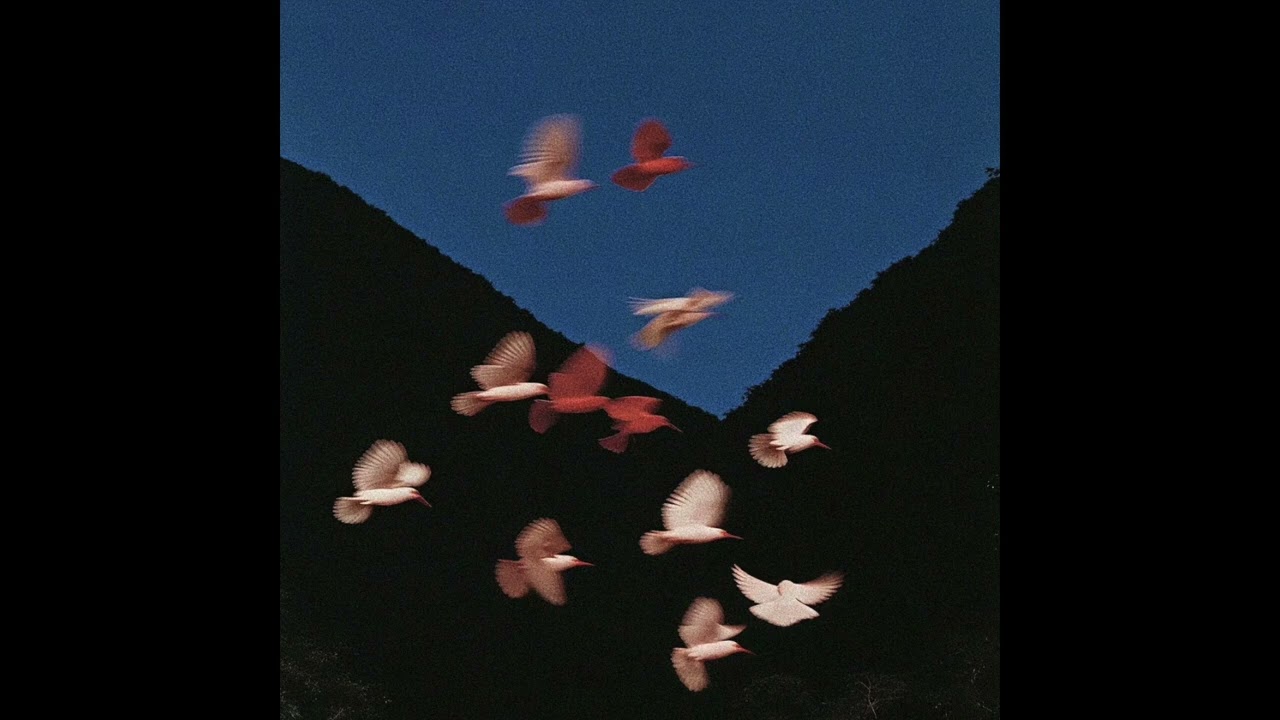 free The Alchemist type beat | The Summer