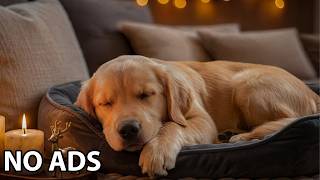 12 Hours Dog Relaxation Music 💤 Relax My Dog – Dog Peaceful Melodies For Deep Comfort screenshot 1