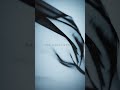 New album SUNDER out Feb 20th 2026 🌹 Preorder now on https://atlas-northcore.com/shop