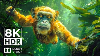 MYSTERIOUS WILD WORLD 8K HDR | with Cinematic Sound (colorful animal beauty)