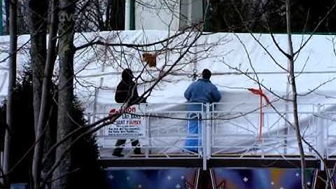 Married to the Eiffel Tower