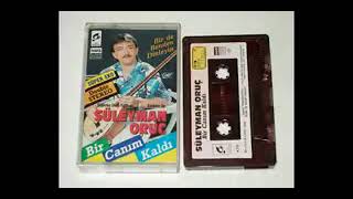 Özleyeceğim Süleyman Oruç Youtubeda Ilk