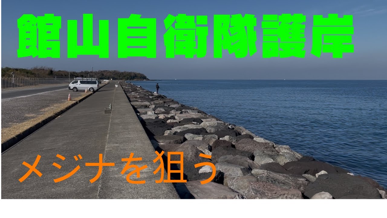 @館山自衛隊護岸のメジナ