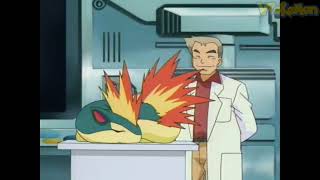 Quilava attacks Professor Oak | Professor Oak Funny Moments