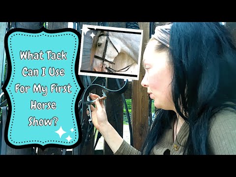 What Tack Can I Use For My FIRST HORSE SHOW Beginners Guide To Showing Cobs Ravers Mead 