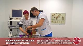 WinPet'in Kedi de Uygulanması screenshot 5