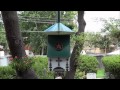 Sheet Metal Hopper-Style Dropping-proof Bird Feeder System I Designed Sheet Metal Hopper-Style Dropping-proof Bird Feeder System I Designed