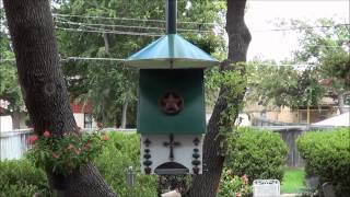 I am not in the business of producing my dropping-proof bird feeder systems for sale. I designed and crafted this particular feeder ...