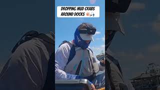 Exploring docks by kayak, hooking black drum  🦀 🎣 #dockfishing #inshorefishing #kayakfishing