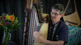 Harpist Nicolas Carter plays &quot;Yvette&#39;s  Wedding&quot;