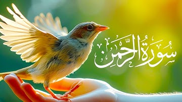 Surah Rahman | آرامش روح و روان با شنیدن این تلاوت | سورة الرحمن | Bahari Quran