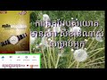 ចំណេះដឹងមានតម្លៃជាងទ្រព្យសម្បត្តិនានានៅលើលោកយើងនេះ ចំណេះដឹងទាំងអស់គឺស្ថិតនៅក្នុង សៀវភៅជាច្រើនក្បាល