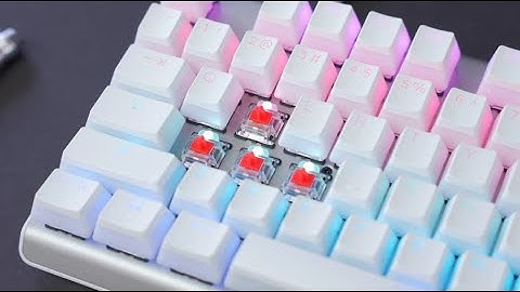 Apex Pro TKL Ghost Edition - Foam Modding - Before & After | Sound Test