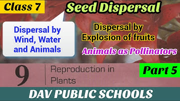 DAV science class 7 Chapter 9 Reproduction in plants