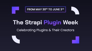 Strapi Plugin Week: Day 4