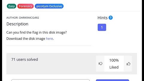 "FLAG FOUND in Hidden Disk File!"   "SSTI Exploit in Action!"