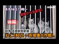 繋ぎ直し！多頭飼育崩壊の現場から生配信
