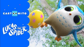 How to Write a Song | Lucas the Spider | Cartoons for Kids | @cartoonito