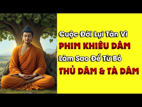 Tại Sao Người