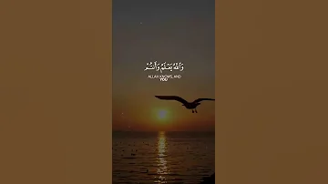 عبدالباسط يقرأ وعسى أن تحبوا شيئ Amazing Recitation That Fills Your Heart 