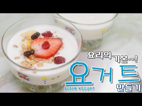 [화니의 요리 비결] 요리의 기본~! ' 요거트 ' 만들기 / Plain Yogurt / 플레인 / 요구르트 / How to Make Yogurt / dahi / 다이어트