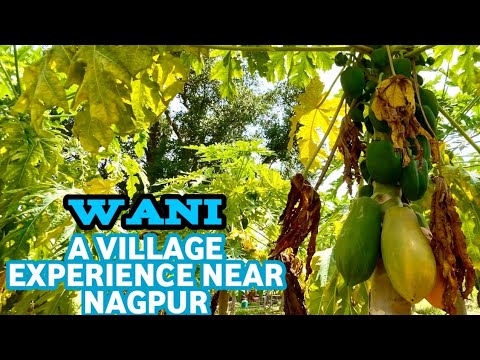 Village Experience Near Nagpur At Wani In Maharashtra | Rural Maharashtra
