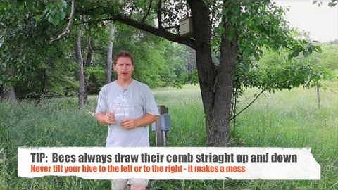 Using Bait Hives for Swarm Catching