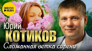 Юрий Котиков - Сломанная Ветка Сирени (Official Video, 2023)