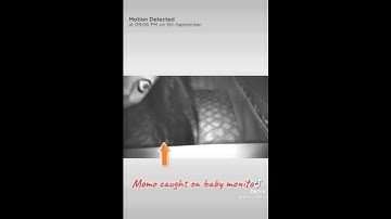 Momo caught on baby monitor.  #scary #fyp #creepypasta #momo